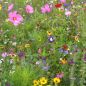 Preview: Blumenwiese LaFleur poesie 1