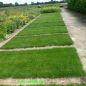 Preview: beringmeier spezial rasensamen grassamen