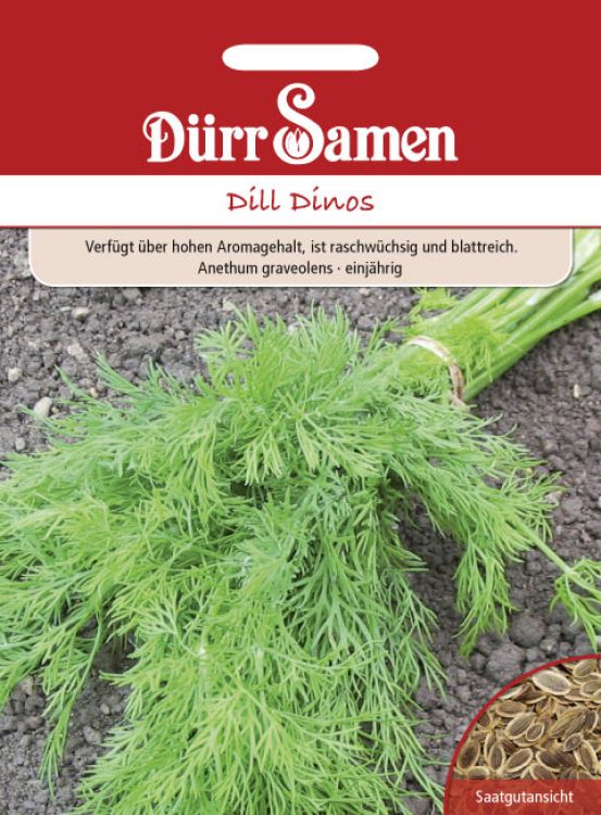 Dill Hera - Anethum graveolens