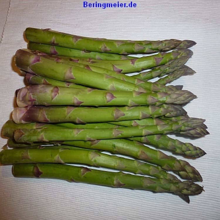 Spargel Avalim - Grünspargel