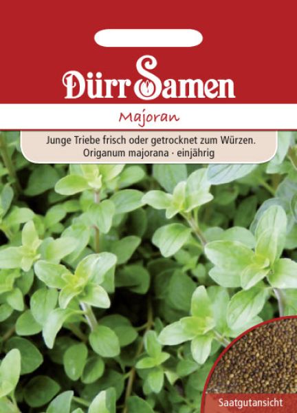 Majoran einjährig - Origanum majorana