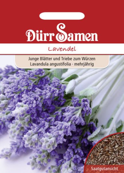 Lavendel echter