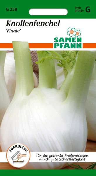 Knollenfenchel Finale