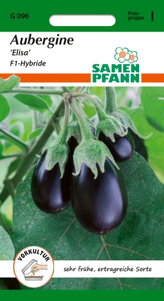 Aubergine Elisa F1