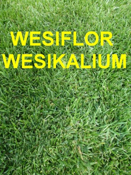 Rasenduenger