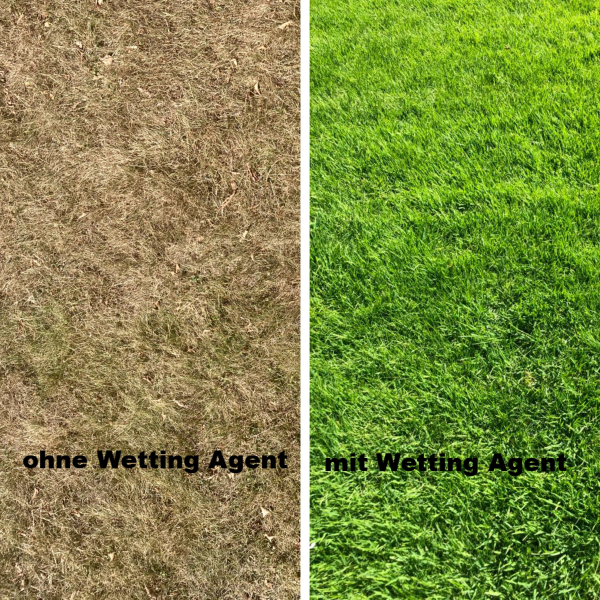 Wettingagent Vergleichsrasen