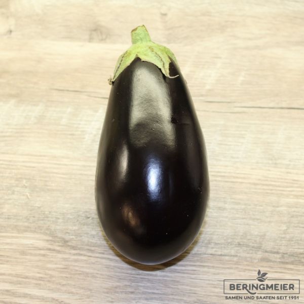 Aubergine Bartok F1