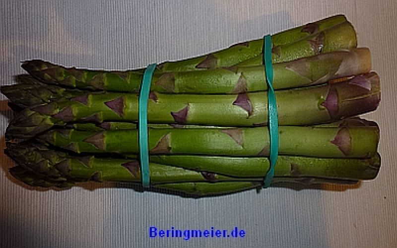 Spargel Schneekopf - Grünspargel