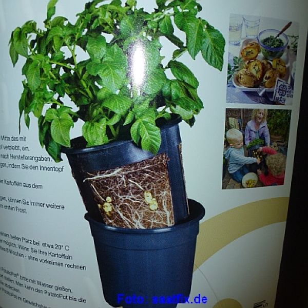 Der Kartoffeltopf (Potato Pot)